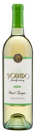 12 Bottles 2020 Pinot Grigio- Shipping Included